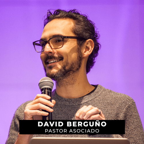 DAVID-web-min DAVID-web-min